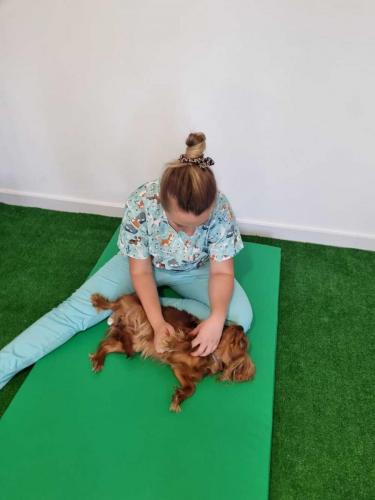 masaż-rehabilitacyjny-zwierząt-katowice-cherishforever